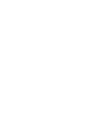 Icon Hot Sale 3