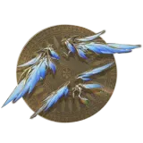 special pass 6